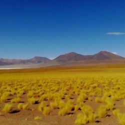 Salar del Huasco
